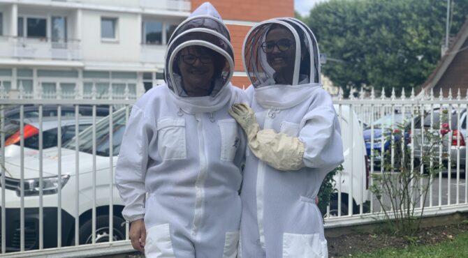 La Méridienne cultive son propre miel grâce à un Apiculteur de renom