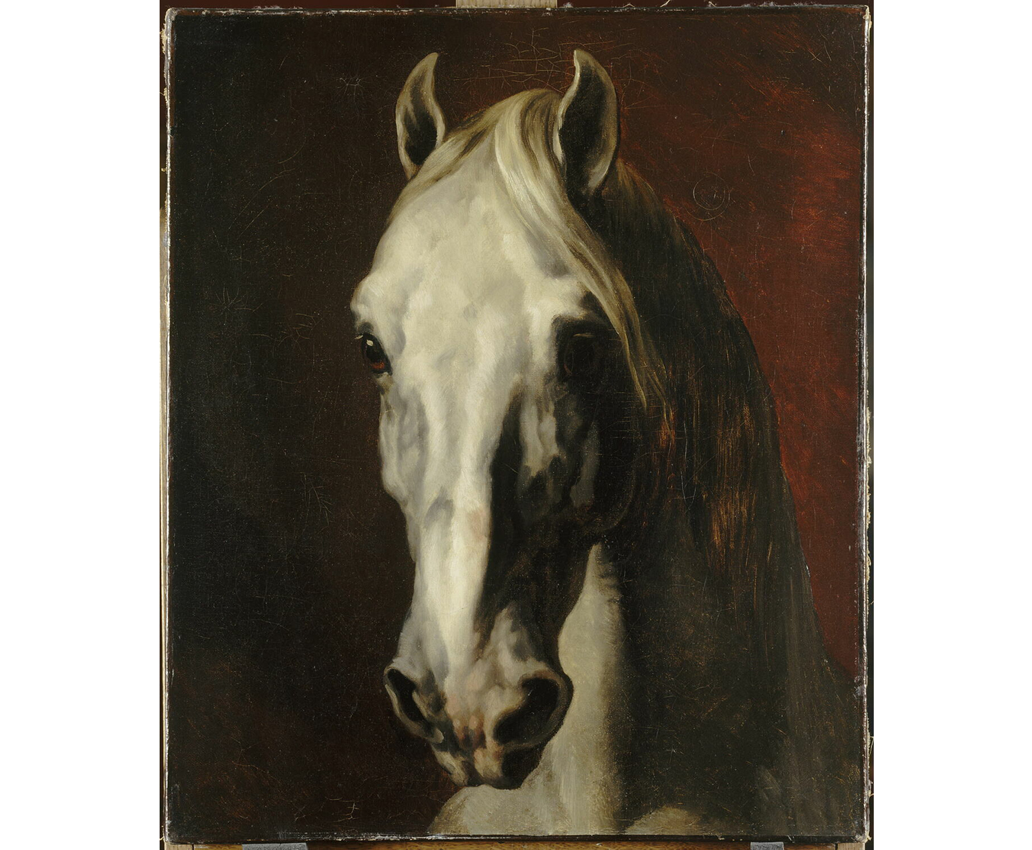 Tête de cheval blanc, Théodore Géricault, Musée du Louvre